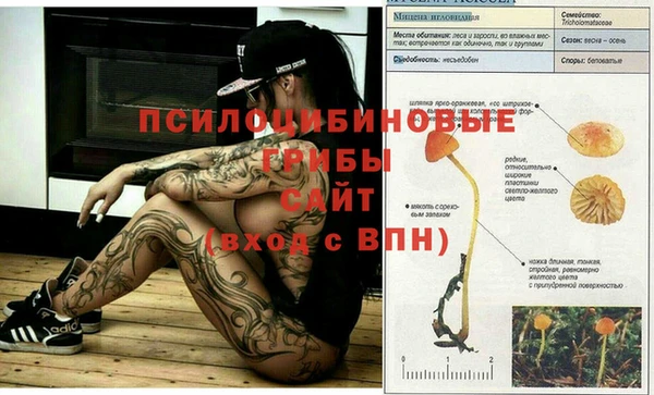 а пвп мука Осинники