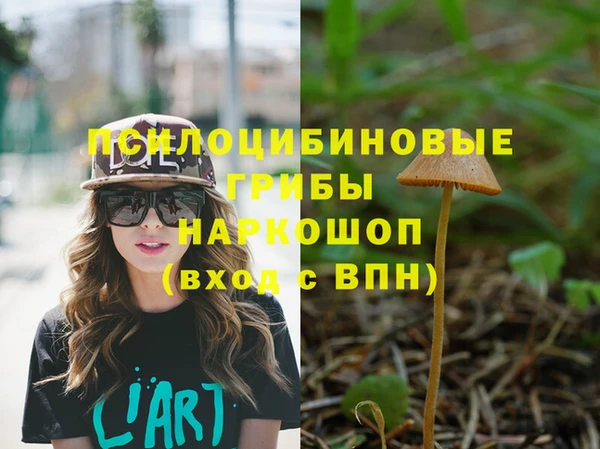 а пвп мука Осинники