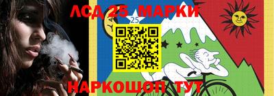 прущие грибы Апшеронск