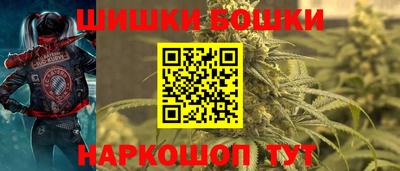 прущие грибы Апшеронск