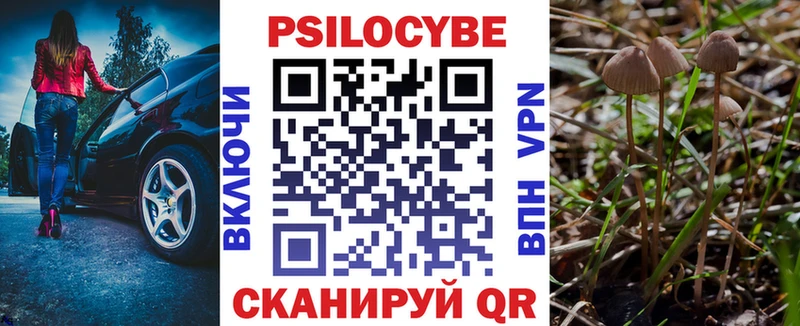 Псилоцибиновые грибы MAGIC MUSHROOMS  Аргун 