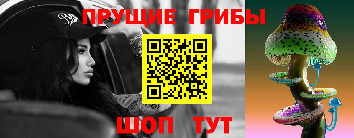 Псилоцибиновые грибы GOLDEN TEACHER  Аргун  Псилоцибиновые грибы Magic Shrooms 